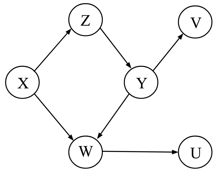 Complicated causal diagram linking 6 variables.