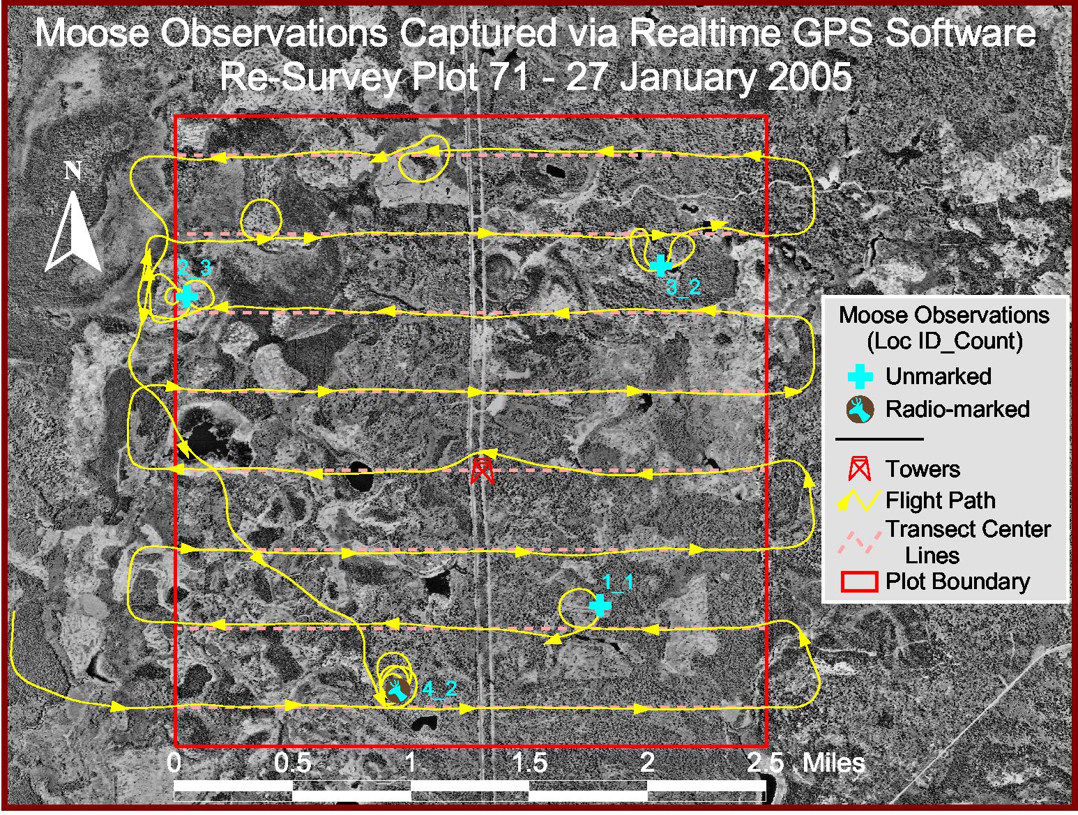 Map showing flight path taken by the helicipter and the locations of 3 unmarked and 1 marked moose.