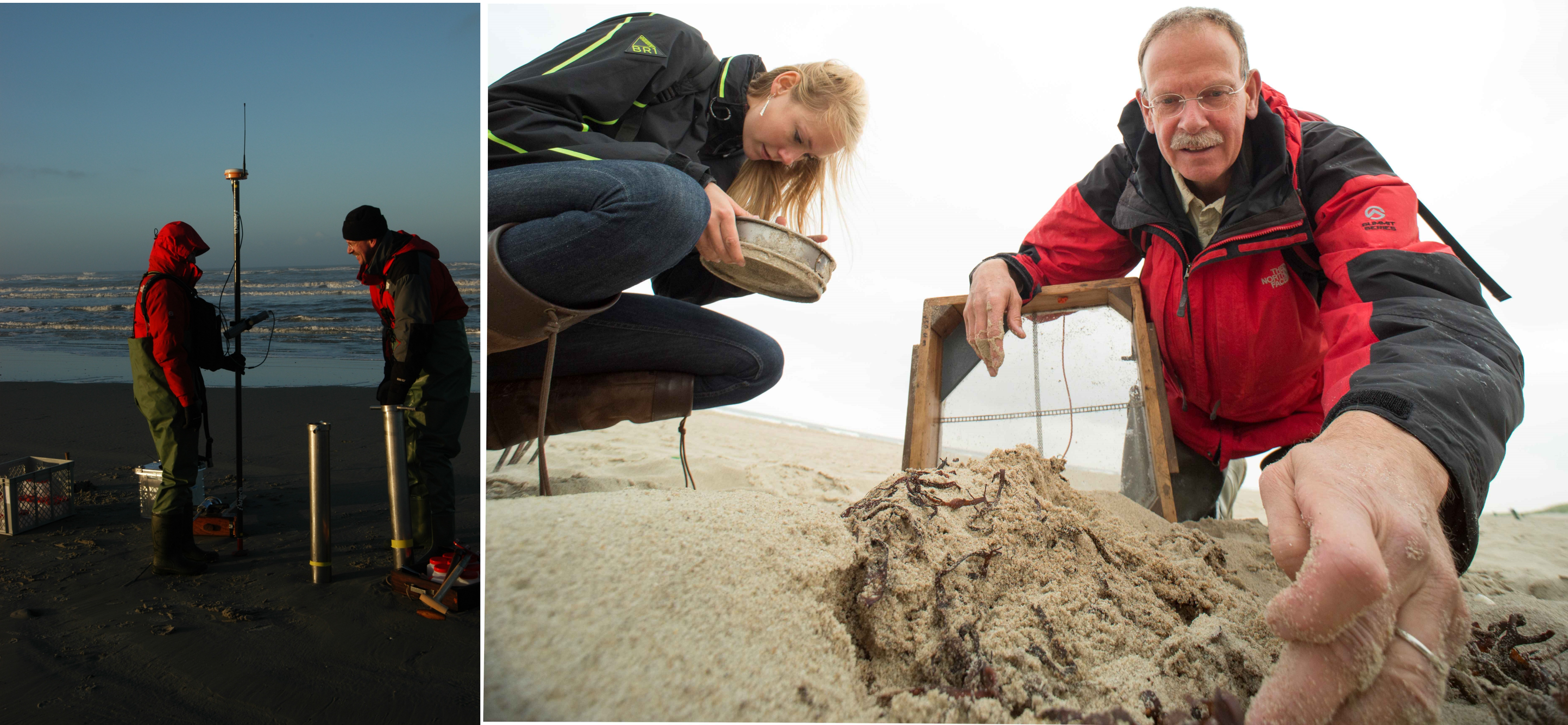 Photos of sampling in the field provided by Dr. Gerard Janssen who led the field sampling associated with the RIKZ data set.