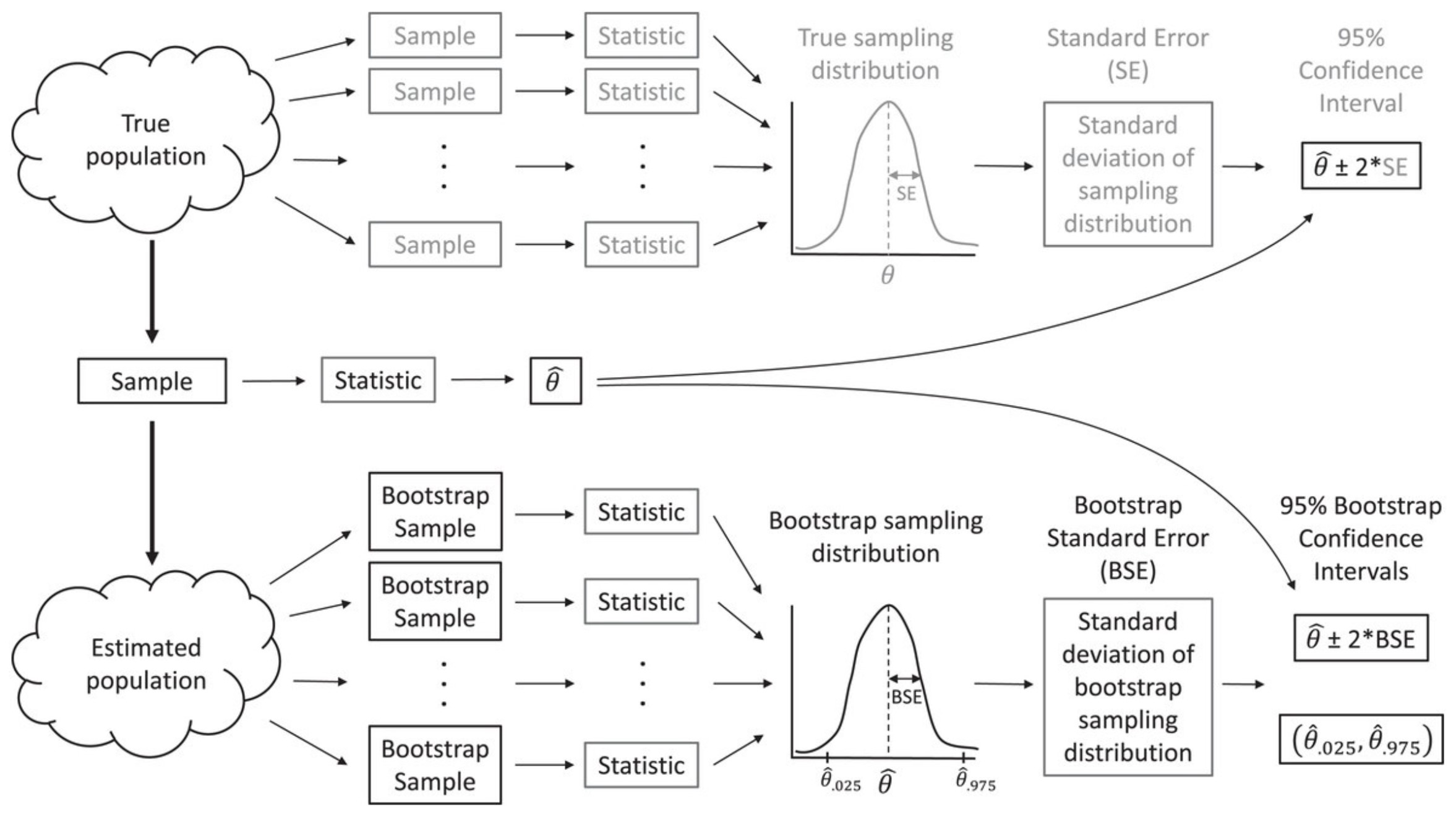 Illustration of how the bootstrap works. Mutliple samples are taken by sampling from an estimated population. The same statistic is calculated for each sample, giving us a bootstrap distribution that serves the same role as a sampling distribution.